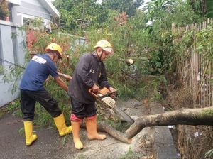 Hujan Angin di Sukabumi Bikin Atap Rumah Terbang-Pohon Tumbang Hujan Angin di Sukabumi Bikin Atap Rumah Terbang-Pohon Tumbang