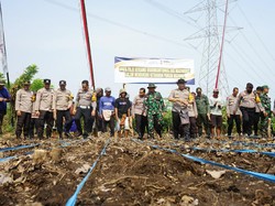Lahan 400 Meter Persegi di Belakang Polsek di Kota Probolinggo Ditanami Jagung