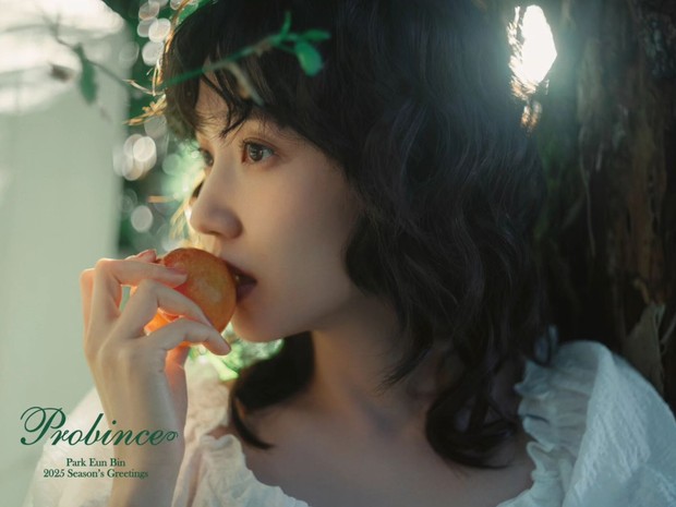 Potret Park Eun Bin dalam Season's Greeting 2025