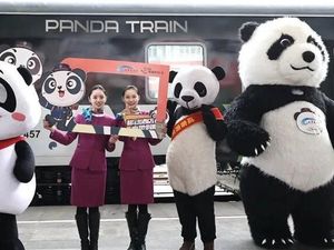Namanya Stasiun Anjing, eh Isinya Kereta Bertema Panda