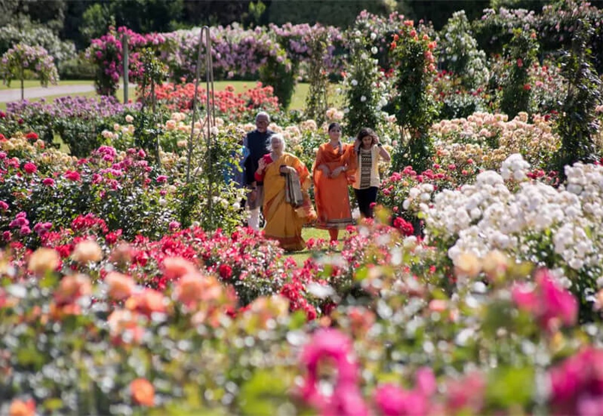 Victoria State Rose Garden