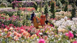 Cantiknya Victoria State Rose Garden, Taman Mawar Terindah di Australia