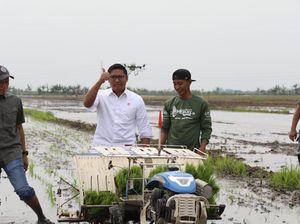 Wamen Sudaryono Tegaskan Janji Prabowo soal Pupuk Langsung ke Petani