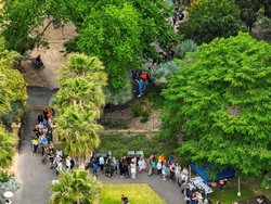 Terpopuler: Ribuan Orang Australia Antre Lihat Bunga Bangkai Terpopuler: Ribuan Orang Australia Antre Lihat Bunga Bangkai