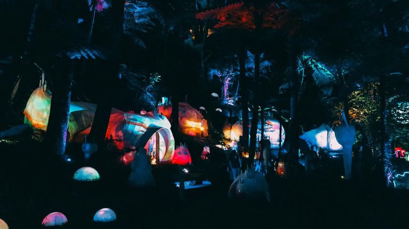 Hutan Mycelia, salah satu tempat wisata di kawasan Terminal Wisata Grafika Cikole, Lembang.