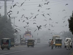 Pakistan, India, dan China Jadi 3 Negara dengan Kualitas Udara Terburuk Dunia