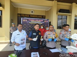 Penyelundupan 2.000 Benih Lobster di Pandeglang, 3 Pelaku Ditangkap