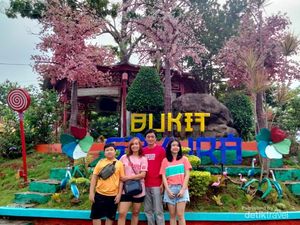 Ini Bukit Sakura di Lampung Ini Bukit Sakura di Lampung