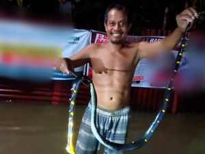 Ular-ular Bermunculan di Tengah Banjir Lubuklinggau Ular-ular Bermunculan di Tengah Banjir Lubuklinggau