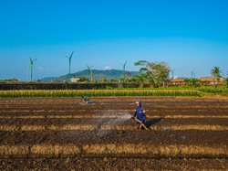 BRI Utamakan Kredit Berkelanjutan ke Sektor Sosial Hingga Rp 677,1 T