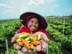 Diapresiasi UN Women, Ini Sederet Program BRI soal Pemberdayaan Perempuan