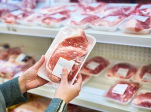 Mengapa Daging Babi Vegan Tidak Bisa Halal? Ini Penjelasannya Mengapa Daging Babi Vegan Tidak Bisa Halal? Ini Penjelasannya