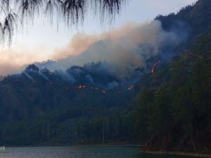 Kebakaran Hutan BTNG Rinjani, 95 Persen Api Dipadamkan Kebakaran Hutan BTNG Rinjani, 95 Persen Api Dipadamkan