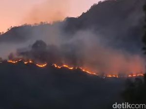 Kebakaran Lahan di Gunung Rinjani, Jalur Pendakian Senaru Ditutup Kebakaran Lahan di Gunung Rinjani, Jalur Pendakian Senaru Ditutup
