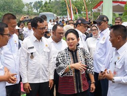 Ketua Komisi IV DPR Dukung Program Strategis Kementan Capai Swasembada Pangan