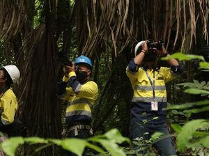 Jurus Grup Merdeka Jaga Keanekaragaman Hayati di Sekitar Area Tambang Jurus Grup Merdeka Jaga Keanekaragaman Hayati di Sekitar Area Tambang