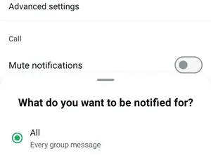 WhatsApp Rombak Fitur Mute Group Chat