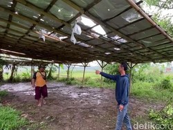 Korban Luka Ungkap Momen Ngeri Sambaran Petir Tewaskan 2 Siswa SMPN 2 Bumiayu