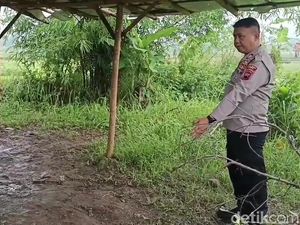 Penampakan Lokasi 6 Siswa SMPN 2 Bumiayu Tersambar Petir hingga 2 Tewas