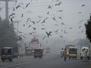 Polusi Udara Pakistan Makin Ngeri, Warga Ngeluh Sesak-Tak Bisa Keluar Rumah Polusi Udara Pakistan Makin Ngeri, Warga Ngeluh Sesak-Tak Bisa Keluar Rumah