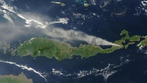 Potret Erupsi Gunung Lewotobi Laki-laki dari Satelit