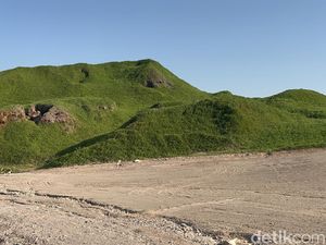 Pulau Hijau di Abu Dhabi Uni Emirat Arab Pulau Hijau di Abu Dhabi Uni Emirat Arab