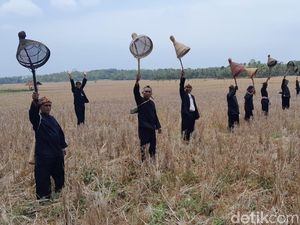 Menjaga Tradisi Tampaling, Menyambut Musim Panen di Pangandaran Menjaga Tradisi Tampaling, Menyambut Musim Panen di Pangandaran