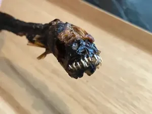 5 Makanan Eksotik Ini Disebut Mirip Alien dari Luar Angkasa 5 Makanan Eksotik Ini Disebut Mirip Alien dari Luar Angkasa