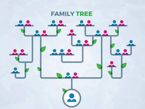Family Tree (Pohon Keluarga) dalam Bahasa Inggris dan Contohnya Family Tree (Pohon Keluarga) dalam Bahasa Inggris dan Contohnya