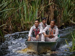 Upaya APRIL Jaga Flora-Fauna di Kawasan Restorasi Ekosistem Riau