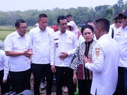 Komisi IV Cek Pompanisasi di Sukoharjo, Dorong Naiknya Indeks Pertanaman