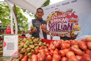 KUR BRI Bantu Berdayakan Petani Jambu Citra di Desa Menawan Kudus