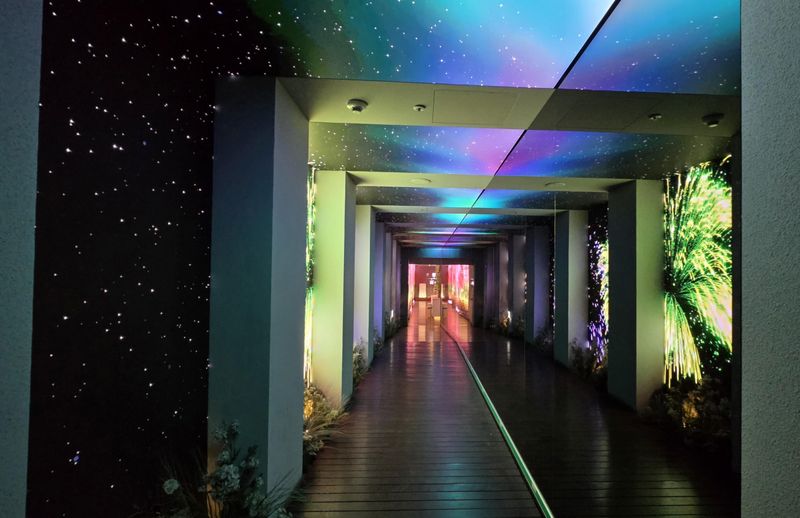 Perusahaan elektronik Korea Selatan LG telah membangun posisi unik di pasar tradisional untuk mempromosikan sejarah panjang dan mempromosikan produk andalan LG. Tempat ini langsung diserbu oleh pemuda Korea Selatan.