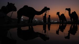 Pameran Dagang Unta Terbesar di India Berubah Jadi Objek Wisata