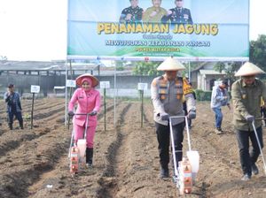 Polres Blitar Kota Tanam Jagung untuk Wujudkan Ketahanan Pangan