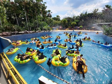 Kesempatan Emas: Masuk The Jungle Hanya dengan Rp 50 Ribuan Berkat Promo KTP!