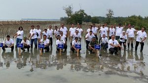 Penanaman 10 Ribu Mangrove oleh Telkom di Pantai Terancam Abrasi