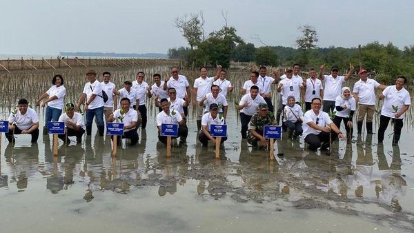 Penanaman 10 Ribu Mangrove oleh Telkom di Pantai Terancam Abrasi