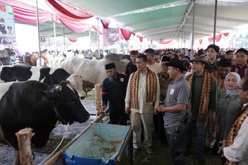 Mentan Amran Respons Cepat Keluhan Peternak Lampung soal Harga Daging Sapi