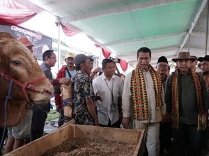 Ketua MPR Sebut Mentan Amran Menteri Kabinet Merah Putih Berkinerja Tinggi