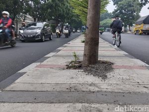 Ini Alasan Kendaraan Melintas di Kanan Jalan Elang Raya, Kaya di Eropa Ini Alasan Kendaraan Melintas di Kanan Jalan Elang Raya, Kaya di Eropa