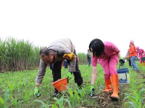 Langkah Polresta Malang Kota Wujudkan Asta Cita Swasembada Pangan Nasional
