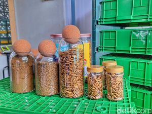 Mengolah Sampah DAS Citarum Jadi Karya Ala Warga Desa Padamukti