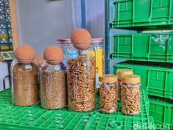 Mengolah Sampah DAS Citarum Jadi Karya Ala Warga Desa Padamukti