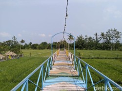 Mekarsari Garden, Wisata Alam Murah Cuma Rp 1.000 di Lombok Barat