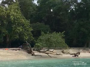 Ssst...Ada Cara Seru Nih Menikmati Pantai Pangandaran Ssst...Ada Cara Seru Nih Menikmati Pantai Pangandaran