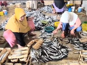 Pelaku UMKM Ikan Pindang di Lamongan Keluhkan Sepinya Permintaan Pelaku UMKM Ikan Pindang di Lamongan Keluhkan Sepinya Permintaan
