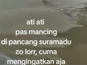 Sosok Buaya Hantui Pesisir Suramadu, BPBD Minta Warga Waspada Sosok Buaya Hantui Pesisir Suramadu, BPBD Minta Warga Waspada