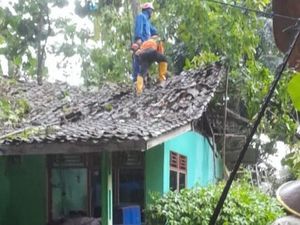 Enam Rumah Rusak Tertimpa Pohon Tumbang di Ciamis