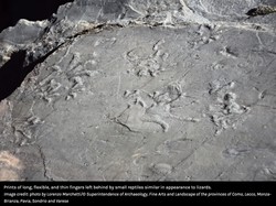 Ekosistem Berusia 280 Juta Tahun Ditemukan di Pegunungan Alpen, Setua Apa?